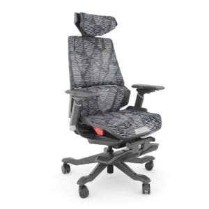 Silla Dragon