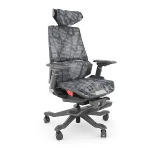 Silla Dragon