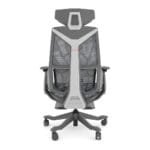 Silla Dragon