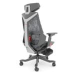 Silla Dragon