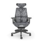 Silla Dragon