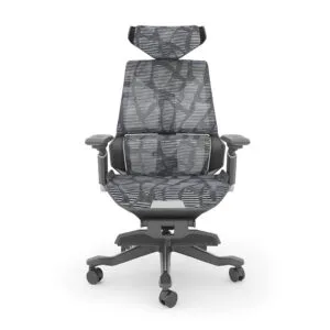Silla Dragon