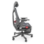 Silla Dragon