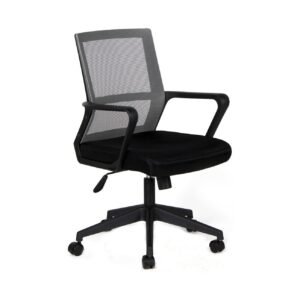 Silla Cartagena